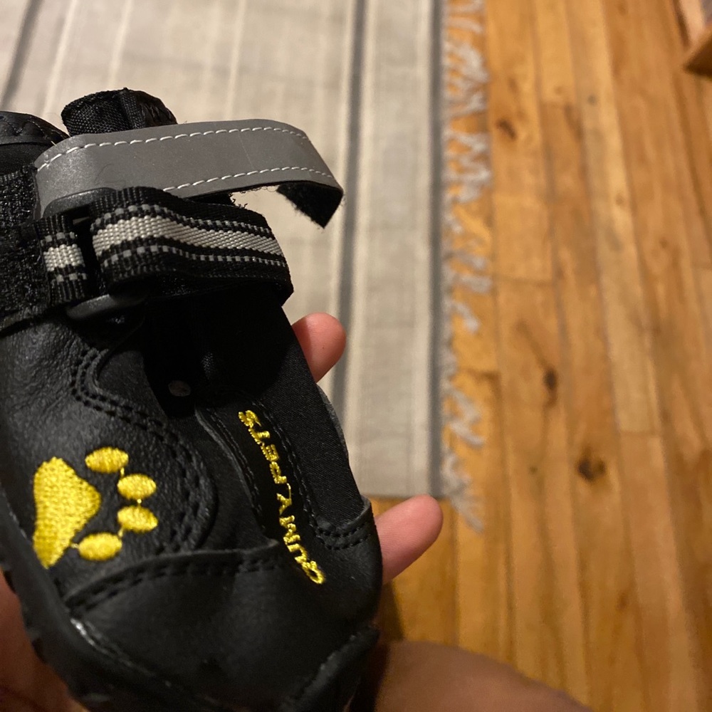Dog boots